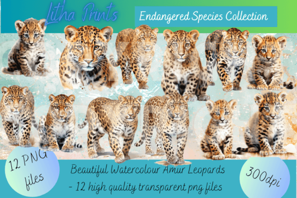 Watercolour Amur Leopards: A Brushstroke for Conservation